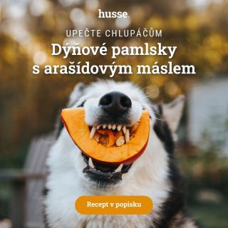 🎃 Sezóna dýní je tady, tak proč z nich neupéct něco dobrého pro chlupáče? Zkuste třeba pamlsky s dýní a arašídovým máslem,...