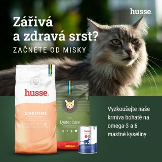 Kočičí krása není jen o pravidelném česání, největší roli hraje správná výživa. 🐱 Ať už sáhnete po krmivu Maritime, Lyster...