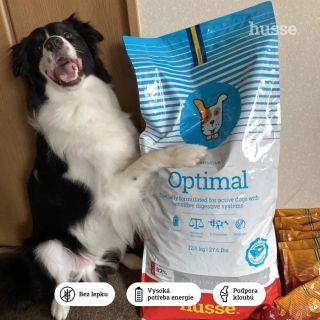 Skočte vašemu pejskovi pro granule Optimal Sensitive, které mu dodají dostatek energie na skotačení a budou ohleduplné k...