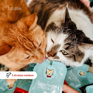 😻 Chutná odměna nebo zálivka granulí – kapsička Tuna Recipe má hned několik využítí. Chutná pěna obsahuje divokého tuňáka...