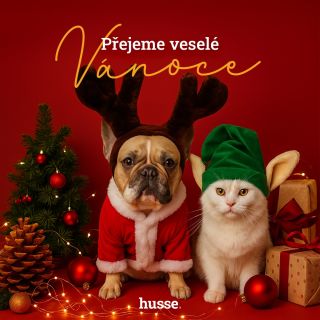 🎄✨ Krásné Vánoce všem chlupáčům i jejich páníčkům! Ať jsou svátky plné pohlazení i dobrůtek, a pak klidný a tichý...